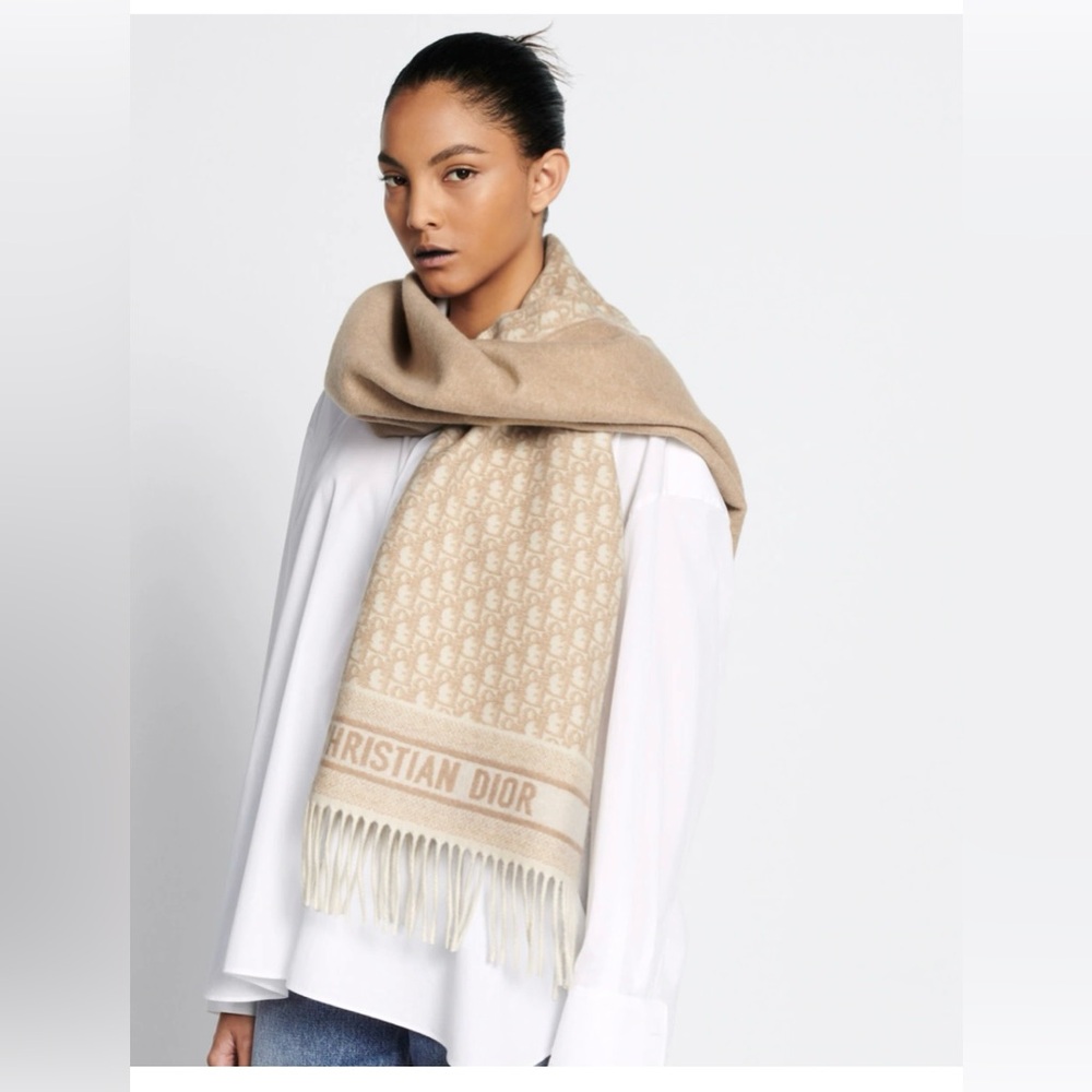 Authentic Christian Dior   Scarf